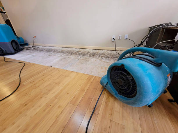 Professional Structural Drying technician working in Grand Saline, TX